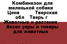 Комбинезон для маленькой собаки › Цена ­ 550 - Тверская обл., Тверь г. Животные и растения » Аксесcуары и товары для животных   